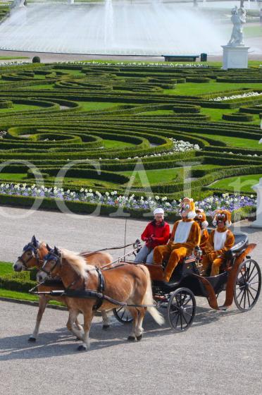 Herrenhausen 2011 14