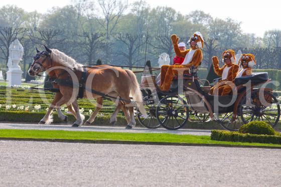 Herrenhausen 2011 15