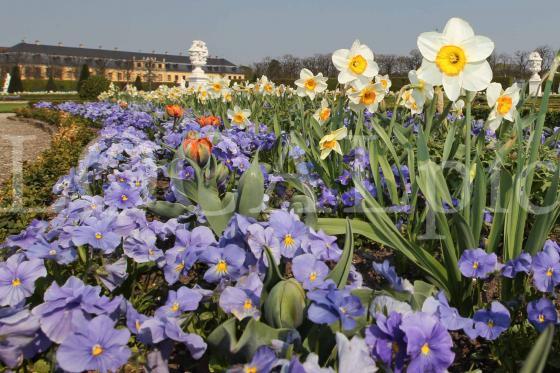 Herrenhausen 2011 17