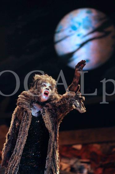 Cats 2011 31