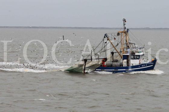 Langeoog 2012 10