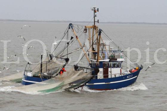 Langeoog 2012 11