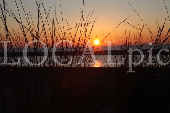 Langeoog 2012 26