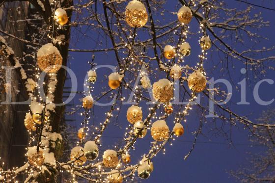 Weihnachten 2012 69