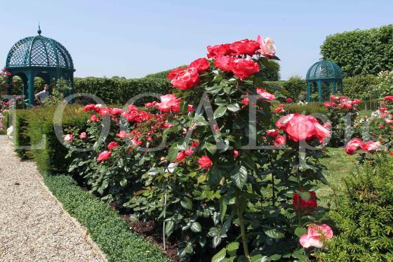 Herrenhausen 2013 109