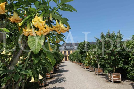 Herrenhausen 2013 124