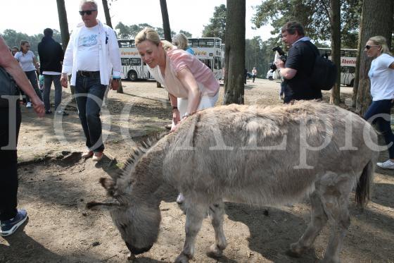 Wulff 2016 151