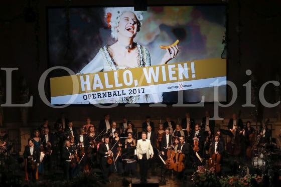 Opernball 2017 41