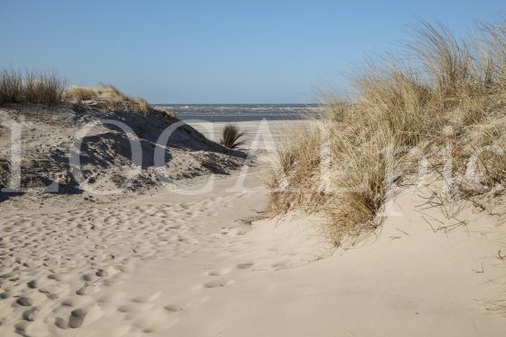 Langeoog 2018 1