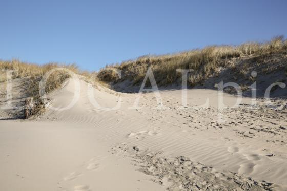 Langeoog 2018 7