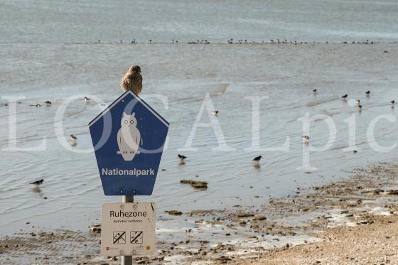 Langeoog 2018 13