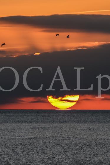 Langeoog 2018 23