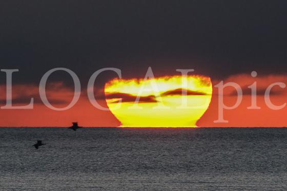 Langeoog 2018 24