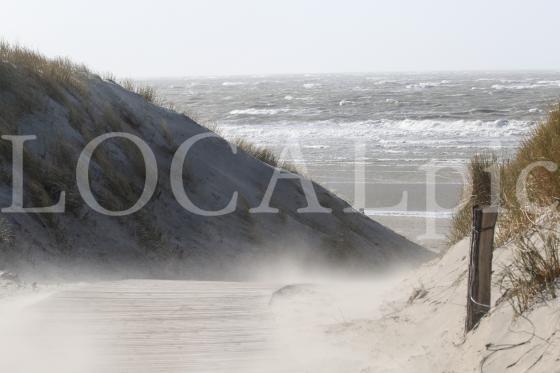 Langeoog 2019 1