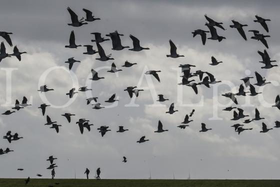 Langeoog 2019 18