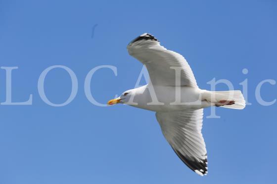 Langeoog 2020 5