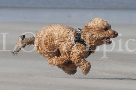 Langeoog 2022 14