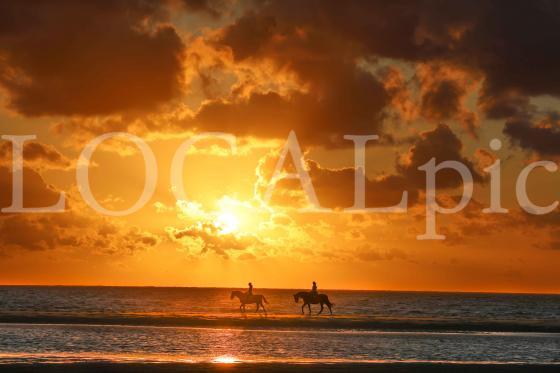 Langeoog 2024 3