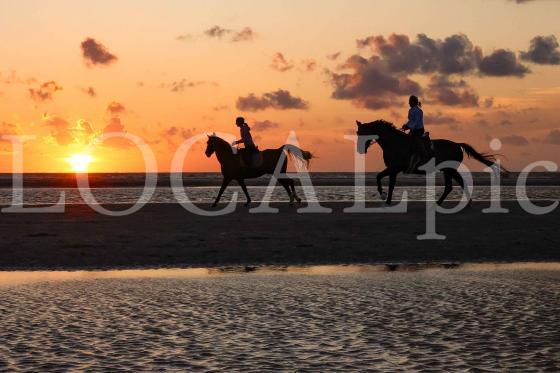 Langeoog 2024 7