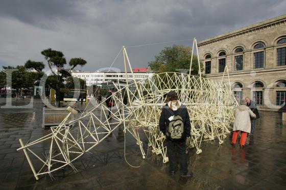 Strandbeest 5