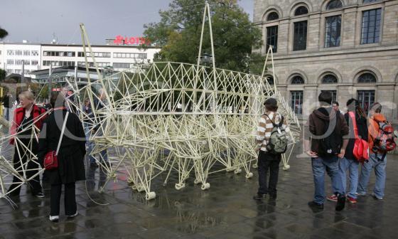 Strandbeest 10