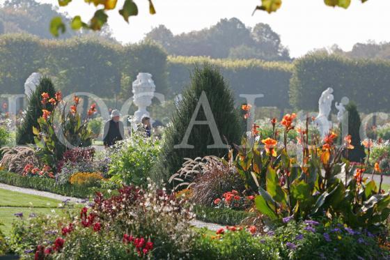 Herrenhausen 50