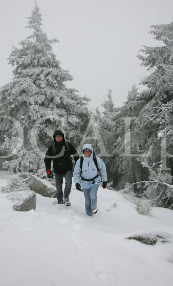 Harz 18