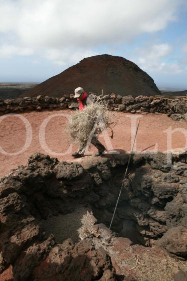 Lanzarote 26