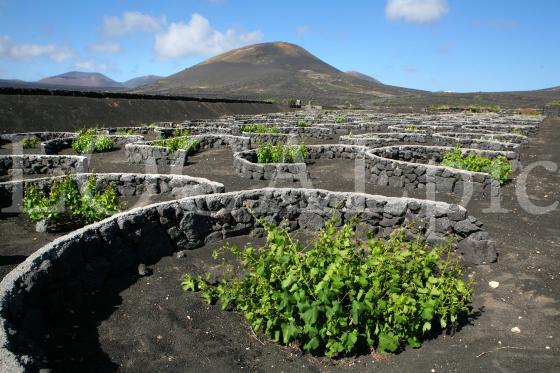 Lanzarote 33