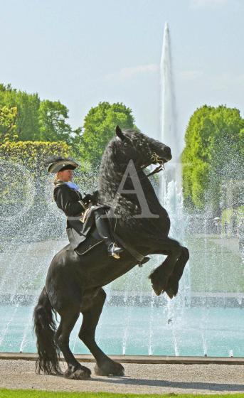 Herrenhausen 83