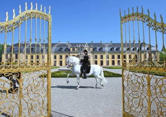 Herrenhausen 86