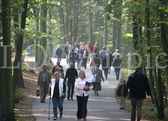 Versteigerung Welfen 15.10.2005 No 1