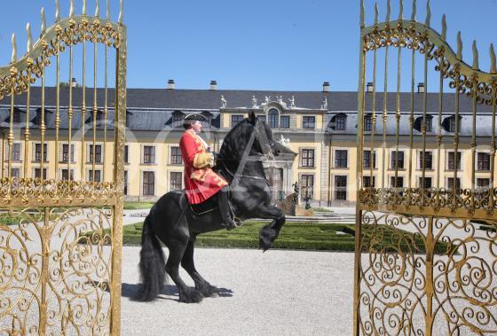 Herrenhausen 140