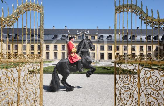 Herrenhausen 141