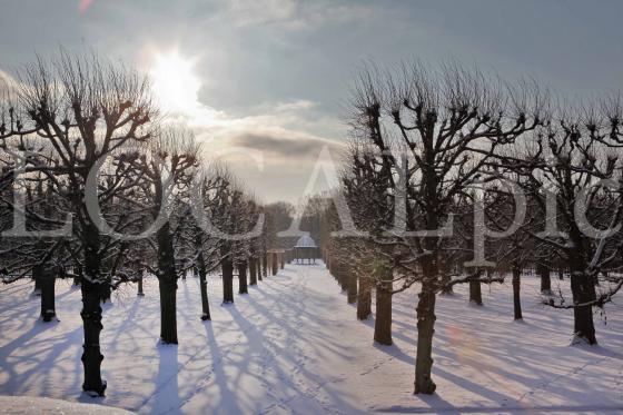 Herrenhausen-248