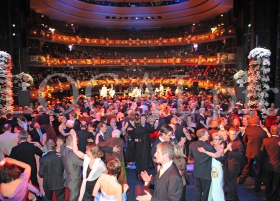 Opernball 2010 33